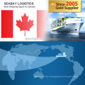 Ningbo Professional Ocean Freight Forwarder a Montreal